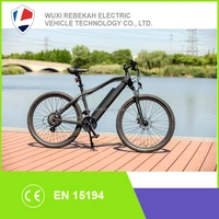 2016 New Brushless Motor And Lt