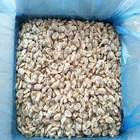 frozen seafood boiled clam meat
