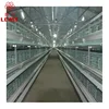 High quality automatic equipment H type chicken layer cage