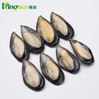 New Season 30-40PCS/KG Frozen Mussel