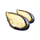 HACCP Certificate seafood shellfish frozen half shell mussel