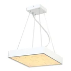 Indoor lighting decorative living room metal acrylic pendant lamp