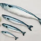 2019 Pettoy pet products Source manufacturer Plush simulation catnip fish toys for cats scratch