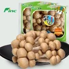 /product-detail/china-white-shimeji-fresh-mushroom-62040391240.html