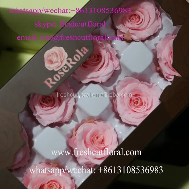 day flowers for centerpieces with top quality from china flower
