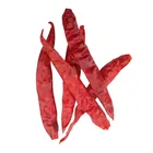 Dry Chilli Pepper Red Chilli Dry India Hot Chilli