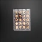 Egg For Blister Trays For Quail Eggs 20 Cells Clear Plastic Quail Egg Trays For Sale