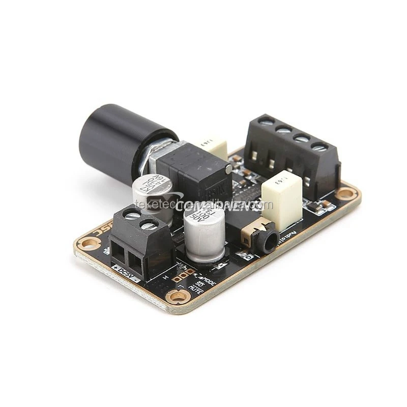 V Pam Digital Amplifier Board Stereo Dual Channel Wx Class D