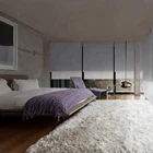 Modern remote control electric double roller blinds