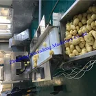 Taro Peeling Machine Automatic Taro Cassava Potato Washing Peeling Machine
