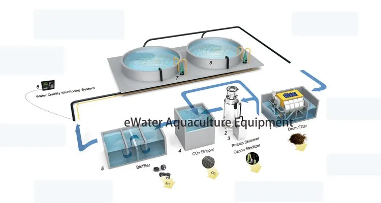 Drum Filter Of Aquaculture Indoor Fish Farming Systems Ras 100t Hour 