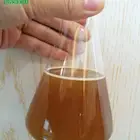 100% Dried Persimmon Leaf Extract Powder