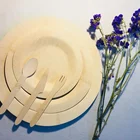 new product 2019 biodegradable eco friendly disposable party bamboo dinner plate