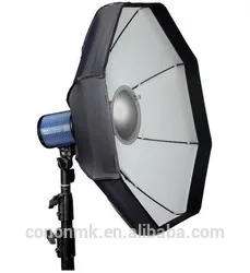 studio flash with Trigger