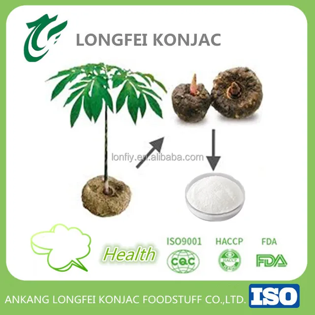 health food amorphophallus konjac root powder