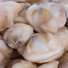HACCP Frozen Good Quality No Sand Frozen Raw Clam Meat