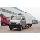 500Kg reefer container box and cold storage van truck