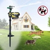 /product-detail/motion-sensor-adjustable-water-spray-sprinkler-animal-repeller-60588438786.html