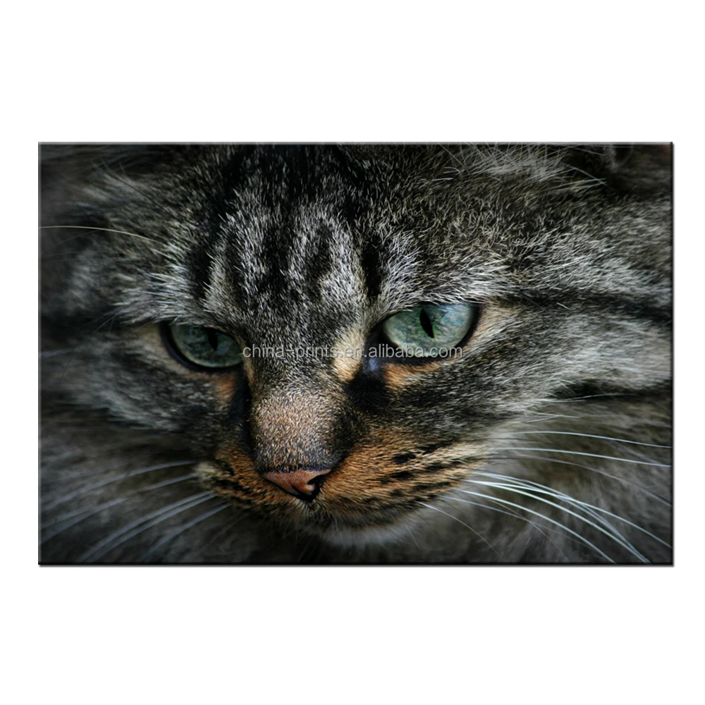 Beli Indonesian Set Lot Murah Grosir Indonesian Set Galeri Gambar