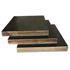 Film plywood with Poplar Core MR Glue 18mm