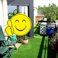Artificial Grass Landscaping Synthetic Grass Decorative