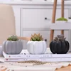 New Style Modern Ceramic Pumpkin Flower Pot