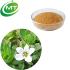 Natural improves memory 10:1 bacopa monnieri brahmi extract