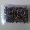 100% Natural wild Thailand butterfly pea tea for oem beverage