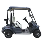 High performance custom electric golf cart