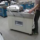 DZ-600/2SA Double Chamber Vacuum Packaging Machine packer