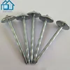 High Quality Fasteners Galvanized Corrugated Umbrella Head Coil Roofing Nail