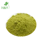 Factory Supply Herbal Extract Quercetin Powder 98% Best Quercetin Price
