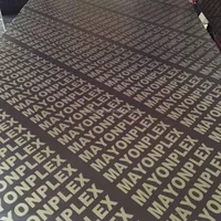 Waterproof Black Film Faced Plywood Construction