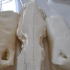 Raw Leather Raw Dry Bleached Raw Stingray Skin Leather For Knife Hilt And Sword Scabbard