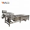 Ginger cleaning machine/ ginger washer and dryer/ prawn cleaning machine