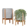 Concrete / resin indoor flower pot with beech wood stand