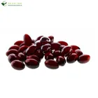Hot Sale Healthcare Products 500mg krill oil softgel