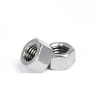 Hex Unslotted Drive Hex Trim Head Grade 316 304 Stainless Steel Din934 nuts