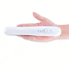 Travel Use Portable Rechargeable USB Battery Cordless Mini Flat Iron Hair Straightener