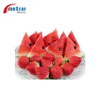Wholesale Promotion Giveaways 8Gb 16Gb 32Gb Cheap Bulk Pvc Watermelon Usb Flash Drives