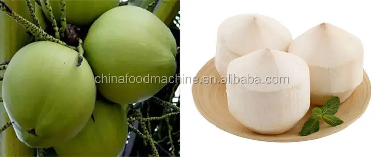 Commercial Automatic Coconut Shell Breaking Husk Shredder Cutter Machine / Fruit Skin Coconut Peeling Machine supplier