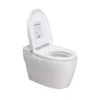 /product-detail/bidet-toilet-seat-electronic-washlet-bidet-smart-bidet-62141952473.html