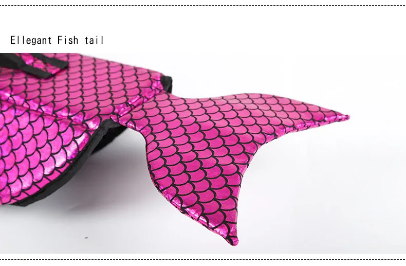 5972707676_1832331281