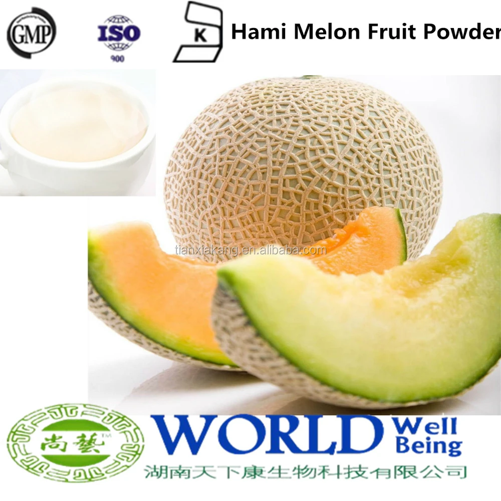 gmp factory 100% natural hami melon fruit powder cantaloupe