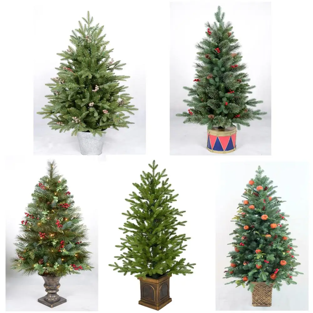 especially in regular christmas tree, pine needle christmas tree