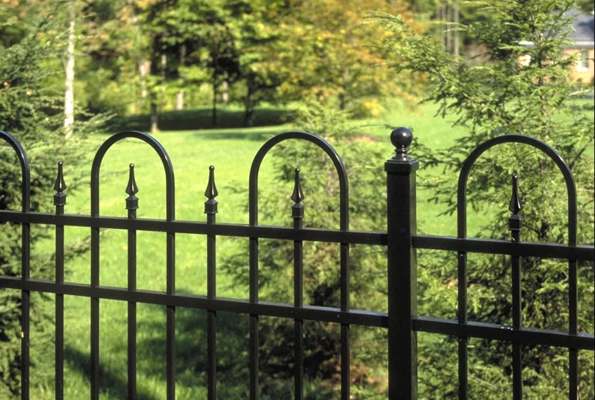 wrought iron fence  (1).png