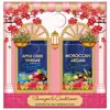 Professional Apple Cider Vinegar And Argan Oil Hair Shampoo And Conditioner Gift Set