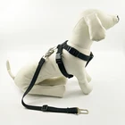 Pet Accessory Wholesaler 2017 New Black Dogs Walking Large Dog Harness and leash