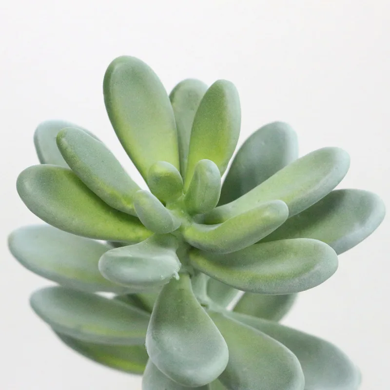 Flone High Simulation Multi-Meat Plant Large Star Beauty Artificial Thick Leaf Soft Rubber Foam Flower Art Home Decor Flower (3)