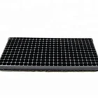Durable Use 1mm Thick Plastic Plant Tray Seedlings of Tomatoes
